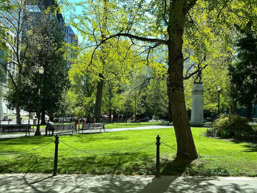 A Guided Walking Tour of Historic Downtown Portland - Price and Value: Is $39 Worth It?