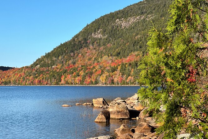 Bar Harbor and Acadia Full Day Private Tour from Portland - How the guide makes or breaks a private day
