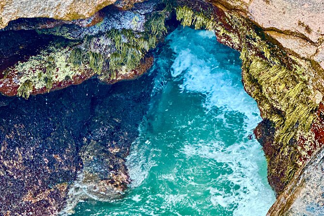 Bar Harbor and Acadia Full Day Private Tour from Portland - Price and value: is $400 per person actually fair?