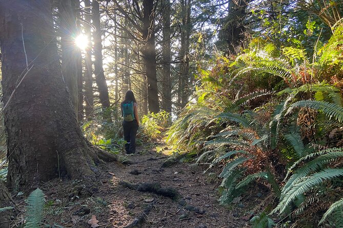 Cannon Beach Hiking Tour on the Oregon Coast - Key things that make this tour worth your day