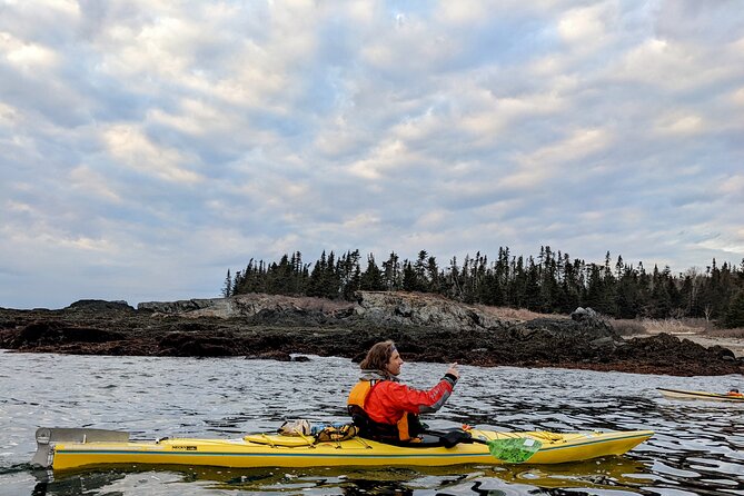 Casco Bay Half-Day Sea Kayak Tour - Price and Value: Is $75 Worth It for 4 Hours?