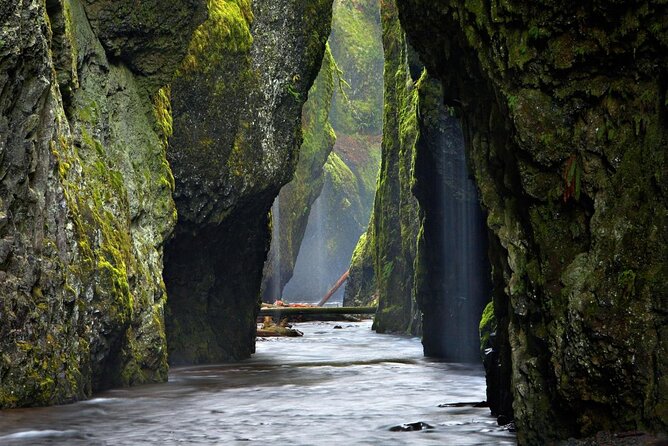 Columbia Gorge Waterfalls and Mt. Hood Tour - Full Day - Latourell Falls: the misty cathedral effect along the trail