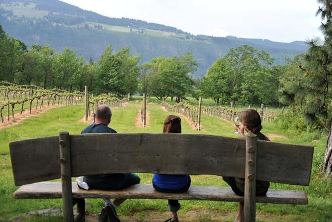 Columbia Gorge Waterfalls & Wineries from Portland: All-Inclusive Afternoon Tour - Wy’East Vineyards: the wine flight is timed to feel easy
