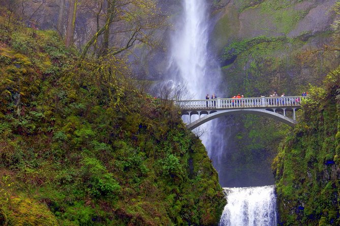Columbia River Gorge Waterfalls Tour from Portland, OR - The Van Ride, the Guide, and Why Small-Group Feels Different
