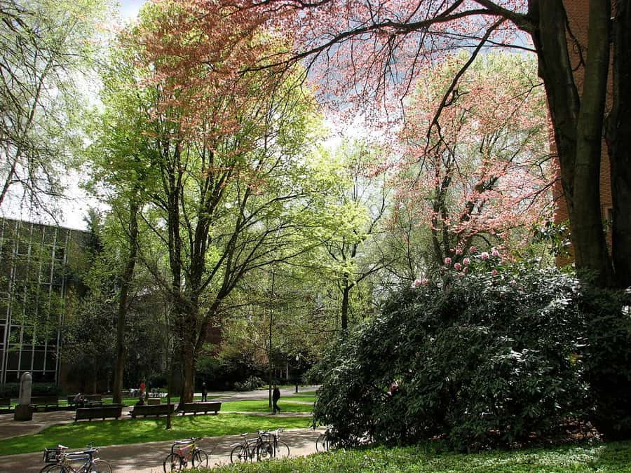 Discover Portland: Guided Sightseeing Tour (Most popular!) - Washington Park hills: where the city finally spreads out