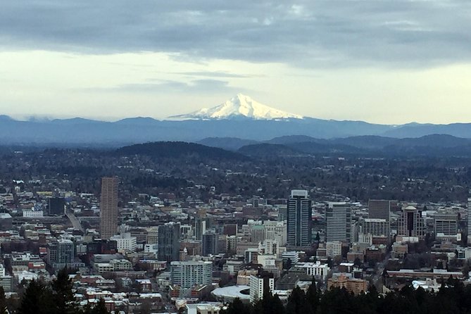 Discover Portland Half-Day Small-Group City Tour - International Rose Test Garden: Where the Tour Smells Like a Plan
