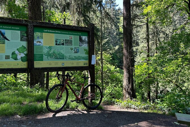 Forest Park Carbon Gravel Bike and E-Bike Tour - Climbing into Forest Park: the shift from city noise to tree cover