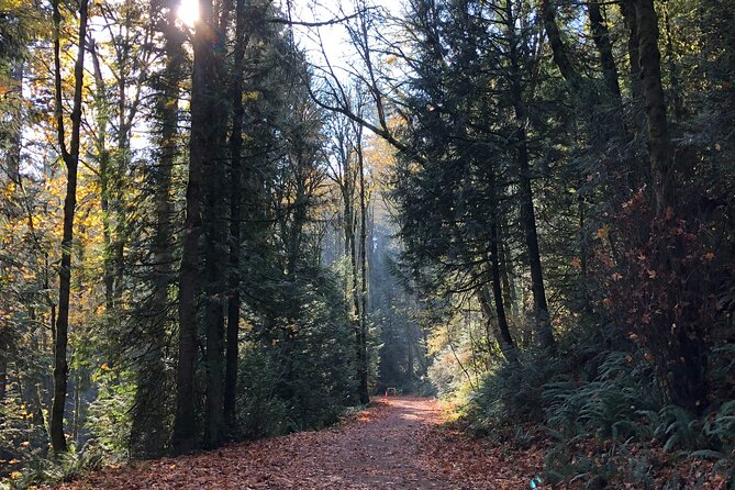 Forest Park Carbon Gravel Bike and E-Bike Tour - St. Johns Bridge to North Portland: a steel suspension moment at the right time