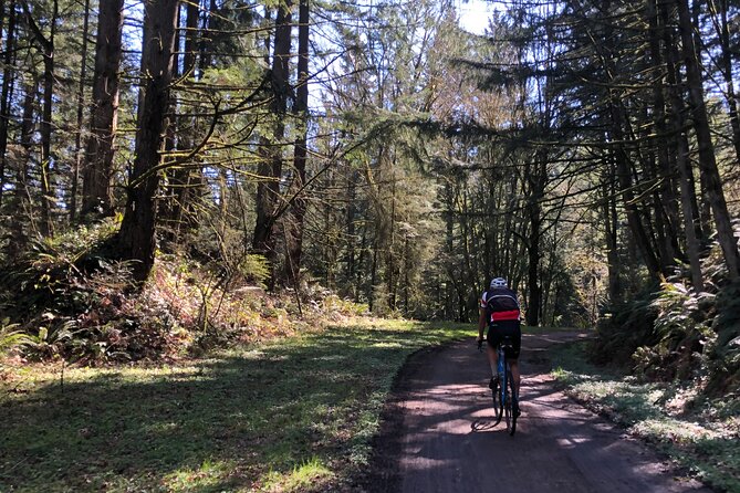 Forest Park Carbon Gravel Bike and E-Bike Tour - E-bike vs carbon gravel: picking the right kind of effort
