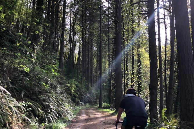 Forest Park Carbon Gravel Bike and E-Bike Tour - Timing, group size, and overall value for a 3.5-hour plan
