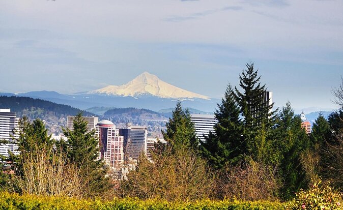 Forest Park Urban Hiking Tour, Portland - Key takeaways