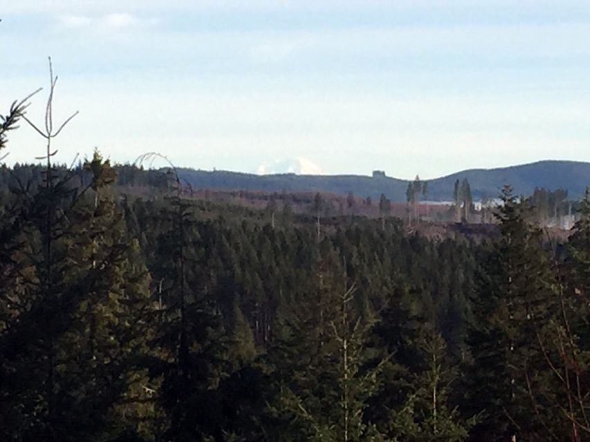 From Portland: Oregon Coast Day Trip Cannon Beach Area - Price Check: Is $139 Worth It for a Full Coast Day?
