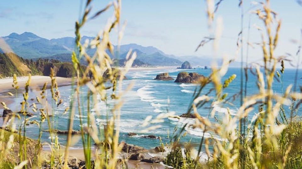 From Portland: Oregon Coast Tour - What Makes This Portland-to-Coast Day Feel Worth It