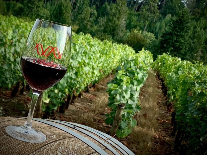 From Portland: Waterfalls, Mt Hood, and Wine Day Tour - Who this tour fits best (and who may want something else)