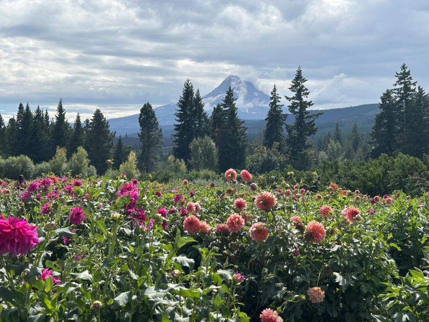 From Portland: Waterfalls, Mt Hood, and Wine Day Tour - How the day stays smooth in a luxury Sprinter van