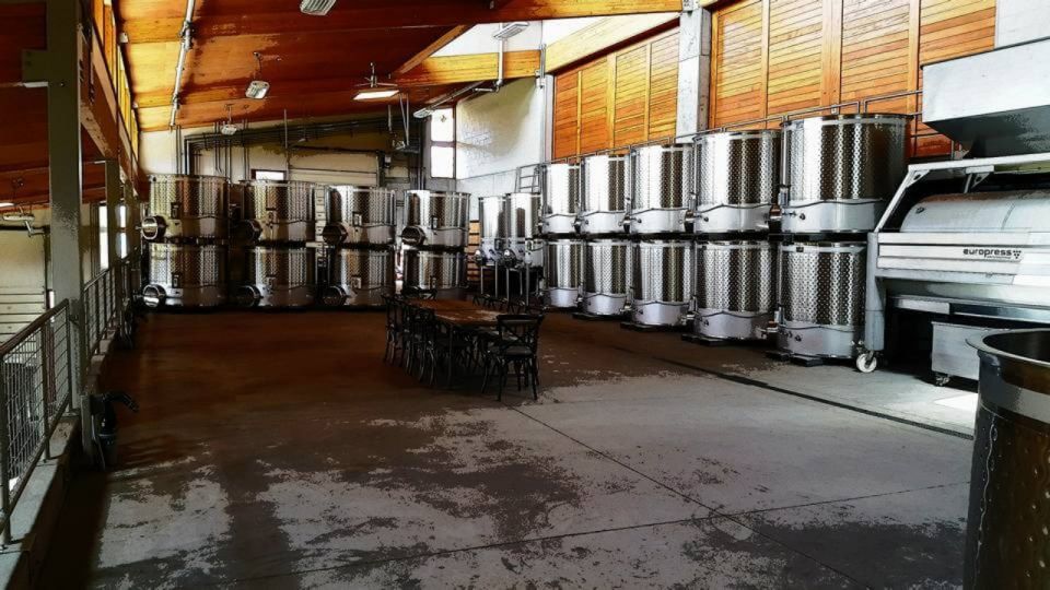 From Portland: Willamette Valley Full-Day Wine Tour - Key Things I’d Put on Your Radar