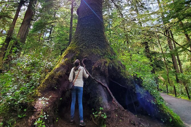 Full-Day Guided Oregon Coast Tour from Portland - Haystack Rock: Birds, Tide Pools, and Why This Stop Hits Hard