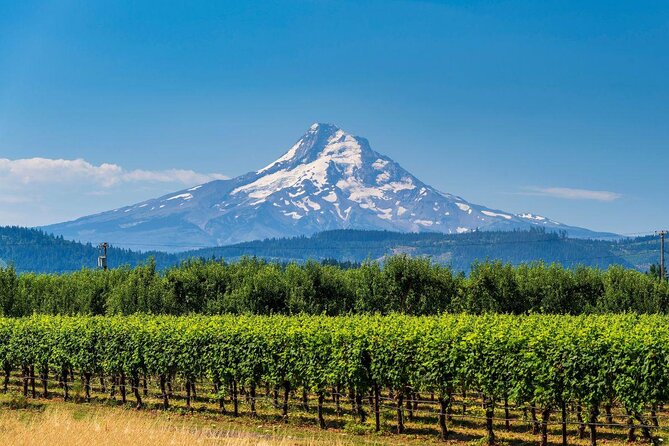 Full-Day Mt Hood Waterfall Tour with Lunch and Wine Included - Quick planning notes (the stuff that really matters)