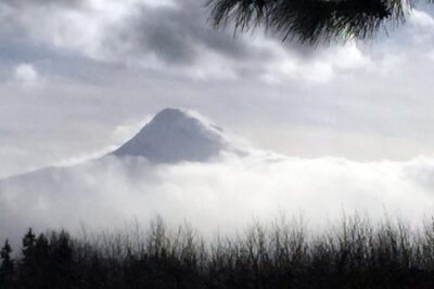 Full-Day Mt Hood Waterfall Tour with Lunch and Wine Included - Vista House and Gorge viewpoints: quick stops with big payoff