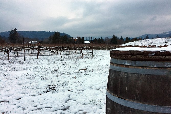 Full-Day Mt Hood Waterfall Tour with Lunch and Wine Included - Hood River: fruit orchards, two vineyards, and lunch with mountain views