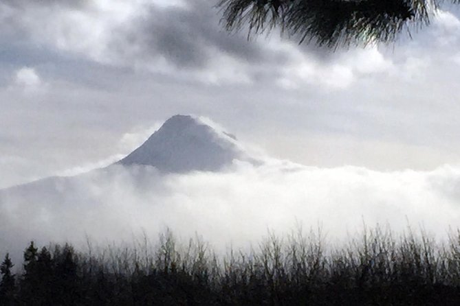 Full-Day Mt Hood Waterfall Tour with Lunch and Wine Included - Vista House and Gorge viewpoints: quick stops with big payoff