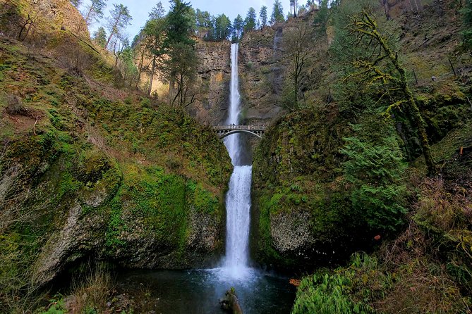 Half Day Columbia River Gorge Waterfalls Tour - Oneonta Gorge: the slot-canyon hike, the icy creek, and the real choice you’ll make