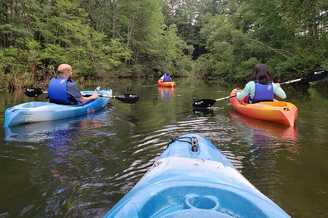 Half Day Kayak Rental on Sebago Lake - Getting on the water fast: the EZ kayak launch advantage