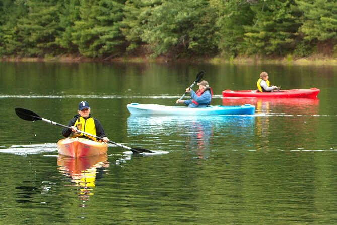 Half Day Kayak Rental on Sebago Lake - Paddling route ideas: streams first, then lake coves and beaches