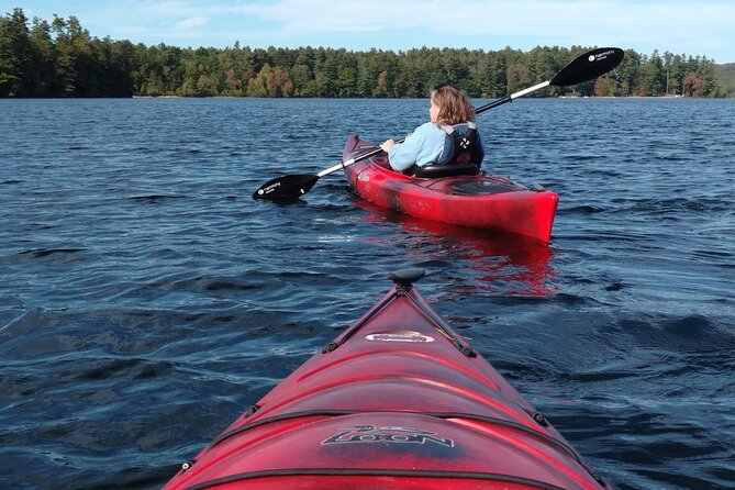 Half Day Kayak Rental on Sebago Lake - Wildlife spotting: a calm way to watch nature at eye level