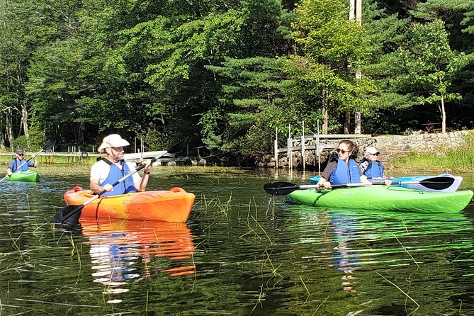 Half Day Kayak Rental on Sebago Lake - Price and value: why $44 for gear feels fair here