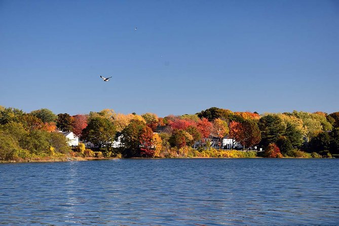 Maine Fall Foliage Private Lobster Boat Cruise with Local Drinks - Spring Point Light and Fort Preble: look for the harbor-defense logic