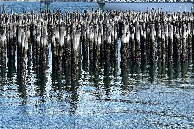 Maine’s Mid Coast Private Day Tour from Portland - Boothbay Harbor: waterfront wandering and a realistic lunch break