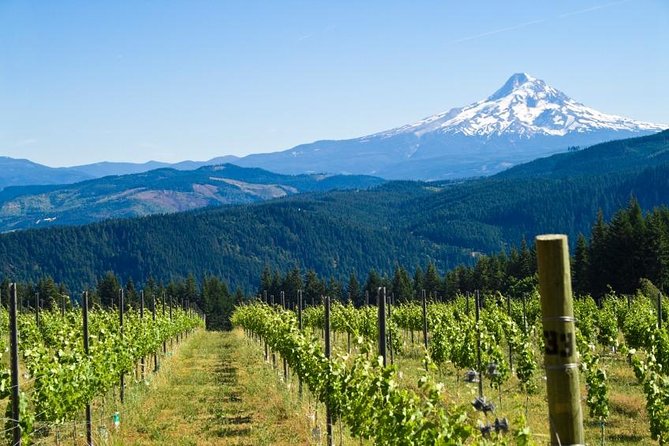 Mt. Hood Loop Tour from Portland - Hood River Hour: Lunch Time With Big Mountain Views
