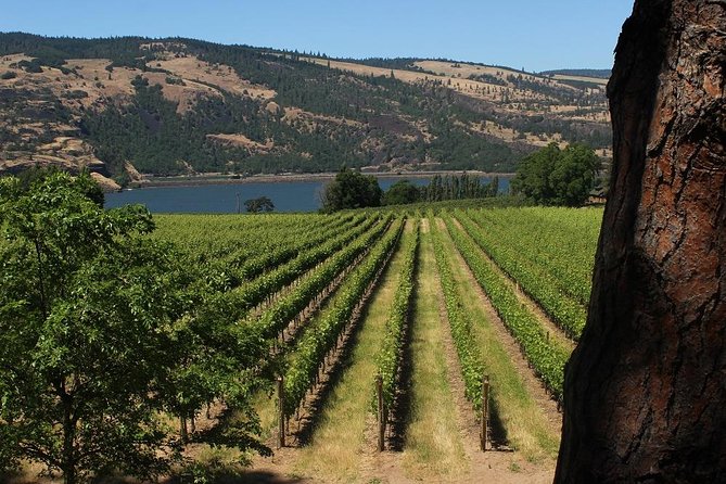 Mt Hood, Waterfalls, and Wine Tour - Pickup, Sprinter van comfort, and the pace you’ll actually experience