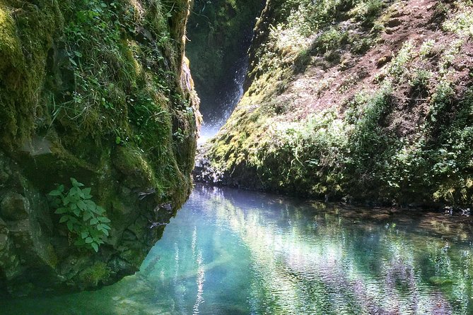 Multnomah Falls and Columbia River Gorge Half-Day Hiking Tour - Latourell Falls: basalt columns, lichens, and a longer forest walk