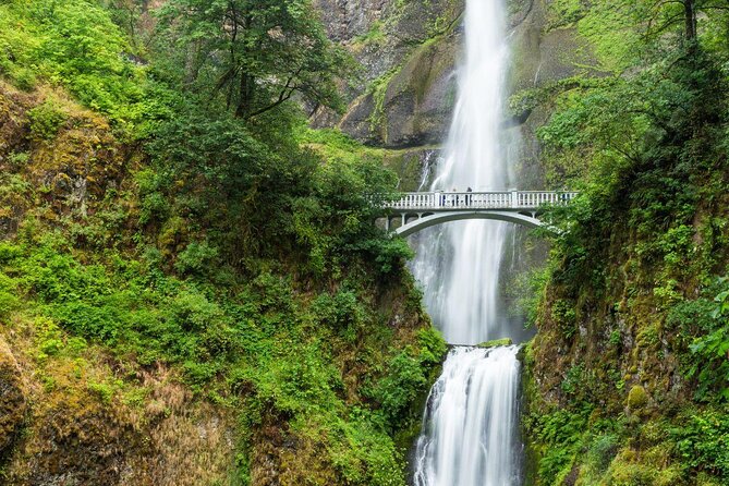 Multnomah Falls & Columbia River Gorge Tour by Envi Adventures - Key highlights you’ll actually care about