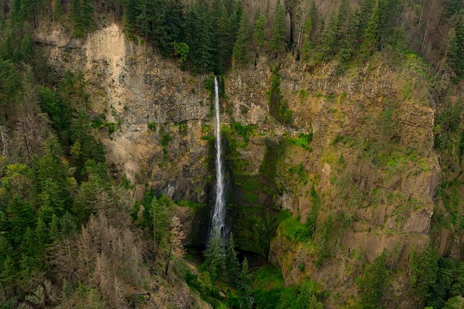 Multnomah Falls & Columbia River Gorge Tour by Envi Adventures - Multnomah Falls from above: what you’re seeing and why it varies
