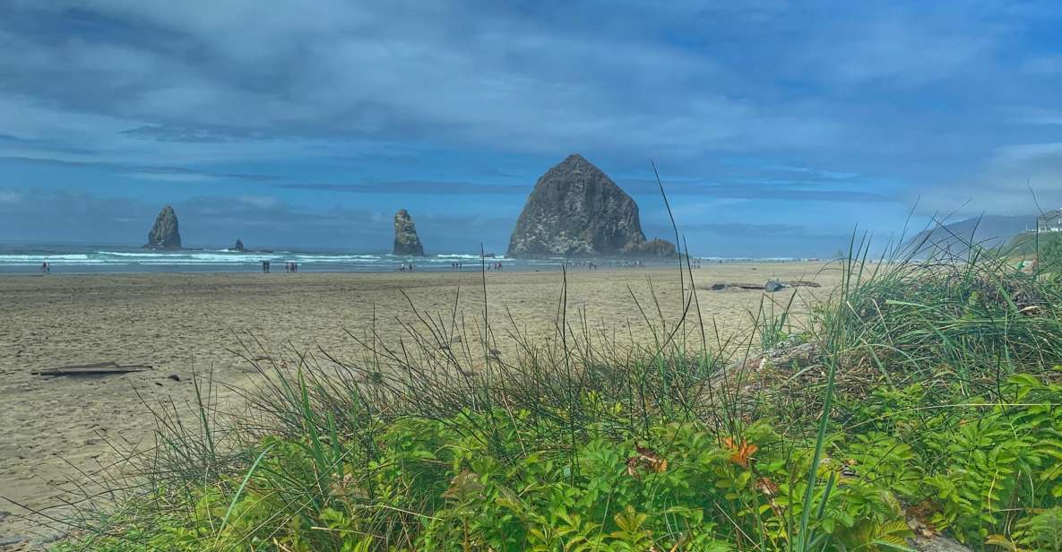 Oregon Coast Day Tour: Cannon Beach and Haystack Rock - Clatsop State Forest: a scenic warm-up before the coast hits