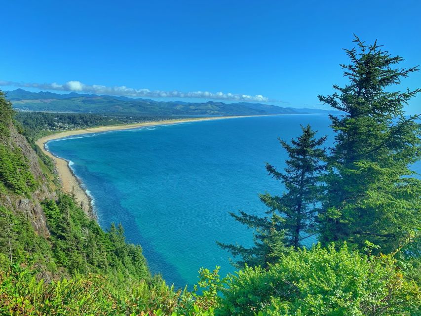 Oregon Coast Day Tour: Cannon Beach and Haystack Rock - Neahkahnie Point: whale-watching odds and a long ocean view