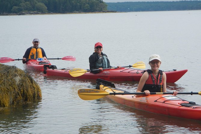 Oyster Farm & Complimentary Tasting Sea Kayak Tour in Casco Bay - What You’re Really Buying for $99: sea time plus an oyster lesson