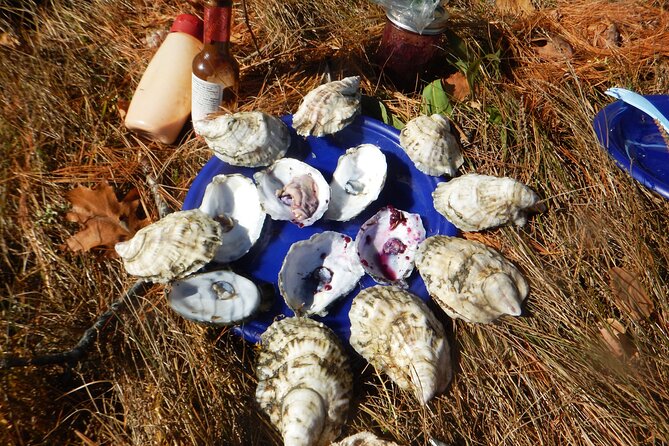 Oyster Farm & Complimentary Tasting Sea Kayak Tour in Casco Bay - Meeting at 8:15am at 1161 Mere Point Rd: start slow, start smart