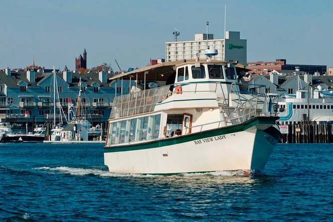 Port City Lights Cruise - Key highlights you’ll care about