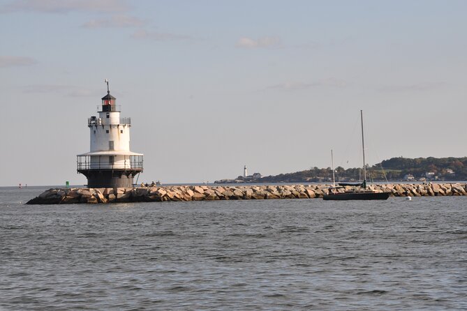 Port City Lights Cruise - Wildlife spotting in Casco Bay: what’s realistic