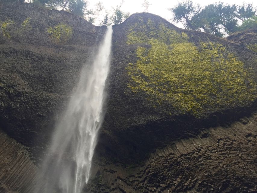 Portland: Columbia River Gorge 3-Hour Small Group Tour - The rainforest walk at the cathedral waterfall: short, easy, and surprisingly vivid
