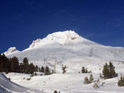 Portland: Mount Hood Wine and Waterfalls Full-Day Tour - Wine tasting without the tourist shuffle