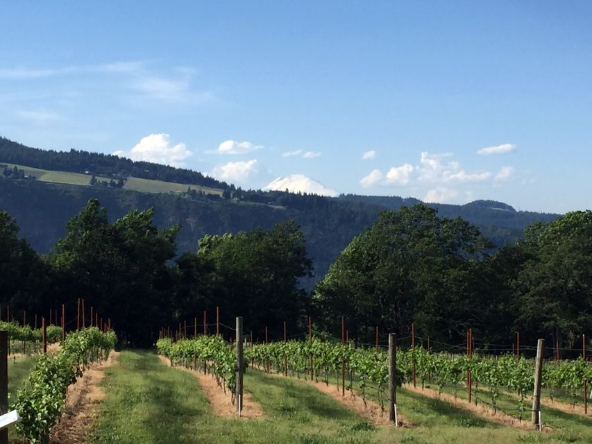 Portland: Mount Hood Wine and Waterfalls Full-Day Tour - Hood River Valley winery lunch with Mount Hood in view