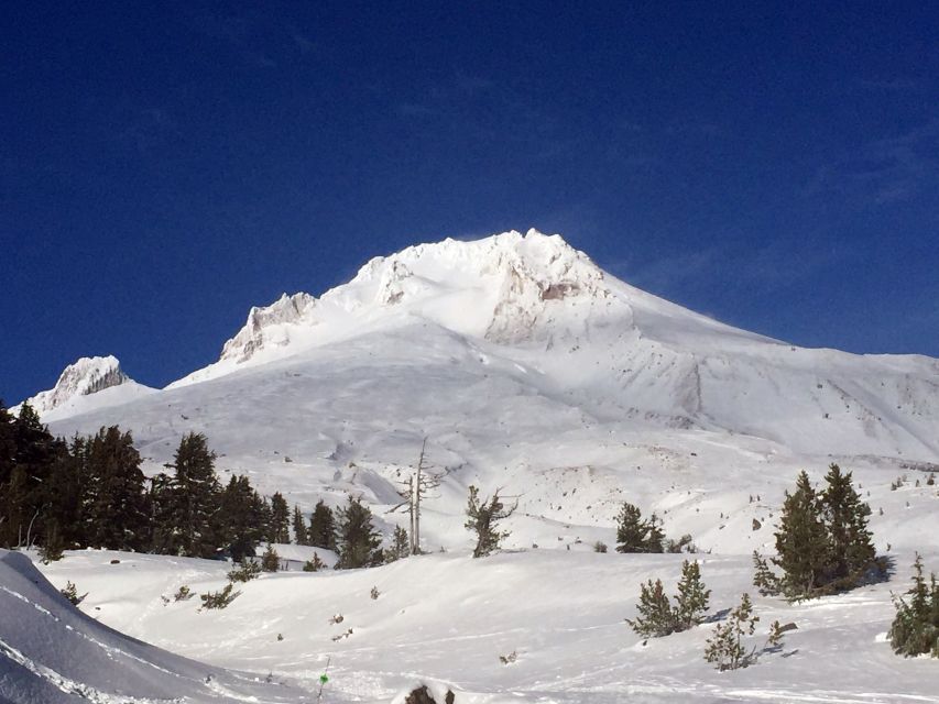 Portland: Mount Hood Wine and Waterfalls Full-Day Tour - Wine tasting without the tourist shuffle