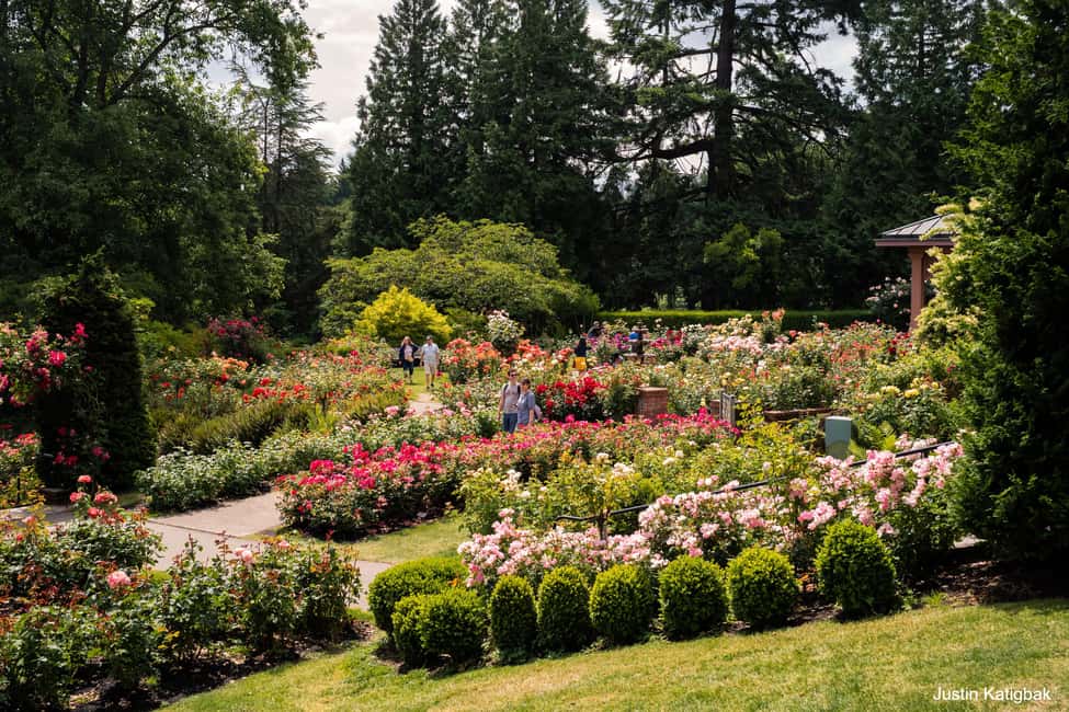 Portland, Oregon: City Highlights Tour with Aerial Tram Ride - Starting at 900 SW Taylor: downtown Portland, with your bearings set early