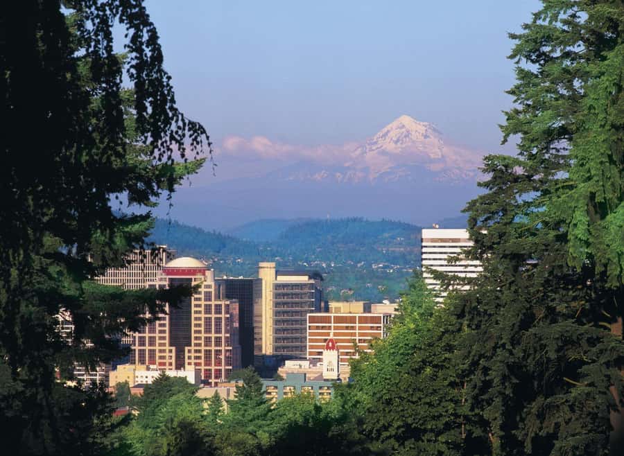 Portland, Oregon: Pink Trolley Hop-On Hop-Off Tour - Who This Tour Suits Best