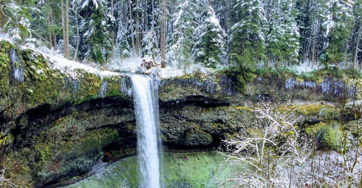 Portland: Silver Falls Hike - Key Things You’ll Notice Right Away